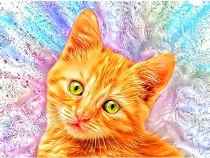 CATS - Kitty Red Blush by Alan Foxx - PoP x HoyPoloi Gallery